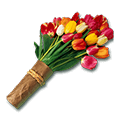 鲜花